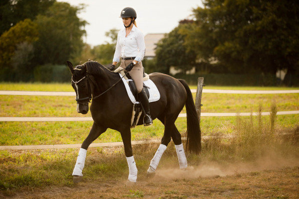 Franziska Eikel - Jungpferdetraining