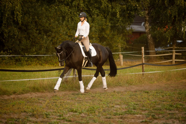 Franziska Eikel - Jungpferdetraining