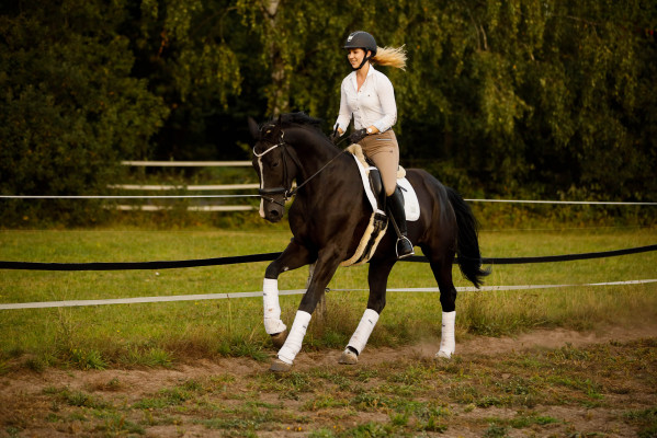 Franziska Eikel - Jungpferdetraining